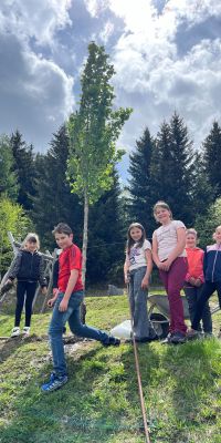 Insgesamt 5 Bäume und 20 Hecken- & Beerensträucher wurden gepflanzt (c) KLAR! OG